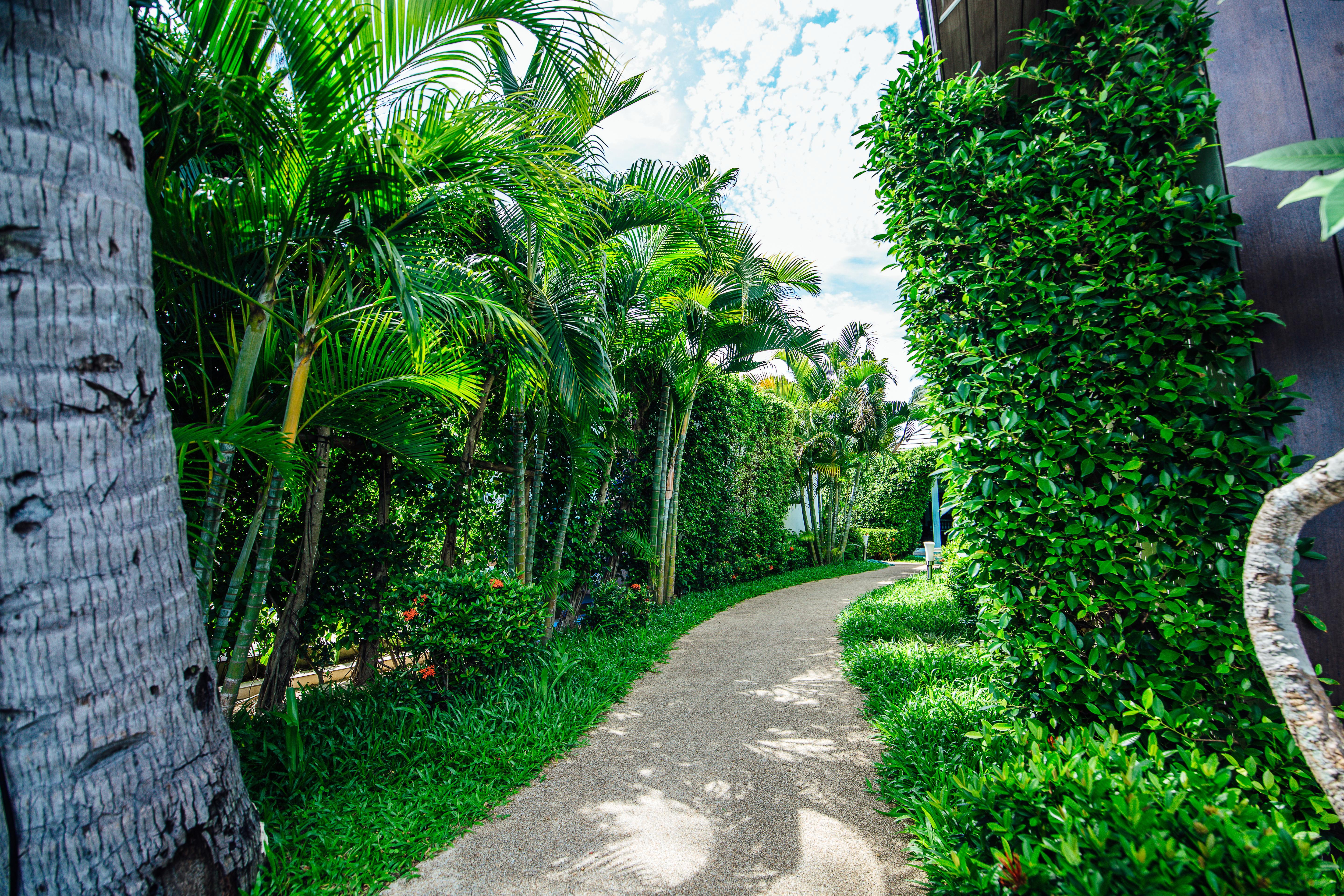 Resort Sea Valley - Sha Extra Lipa Noi